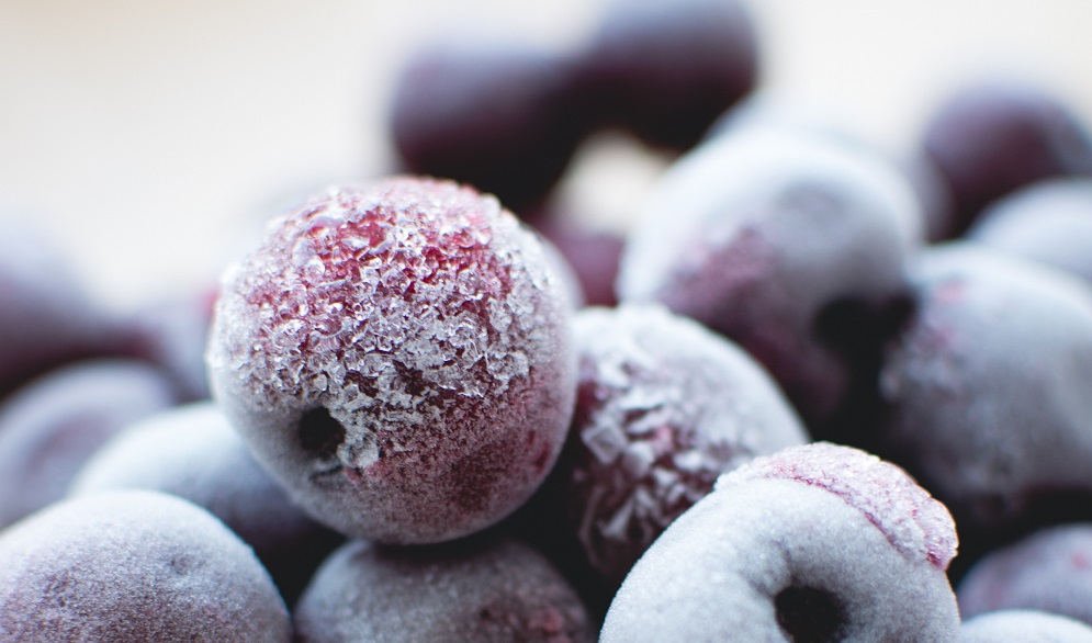 Congelados IQF